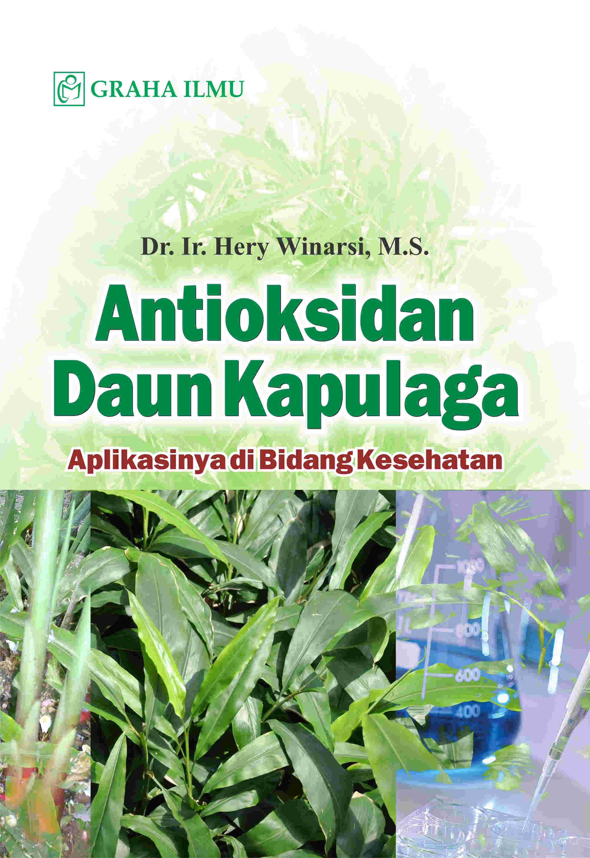 Sampul buku Antioksidan Daun Kap...