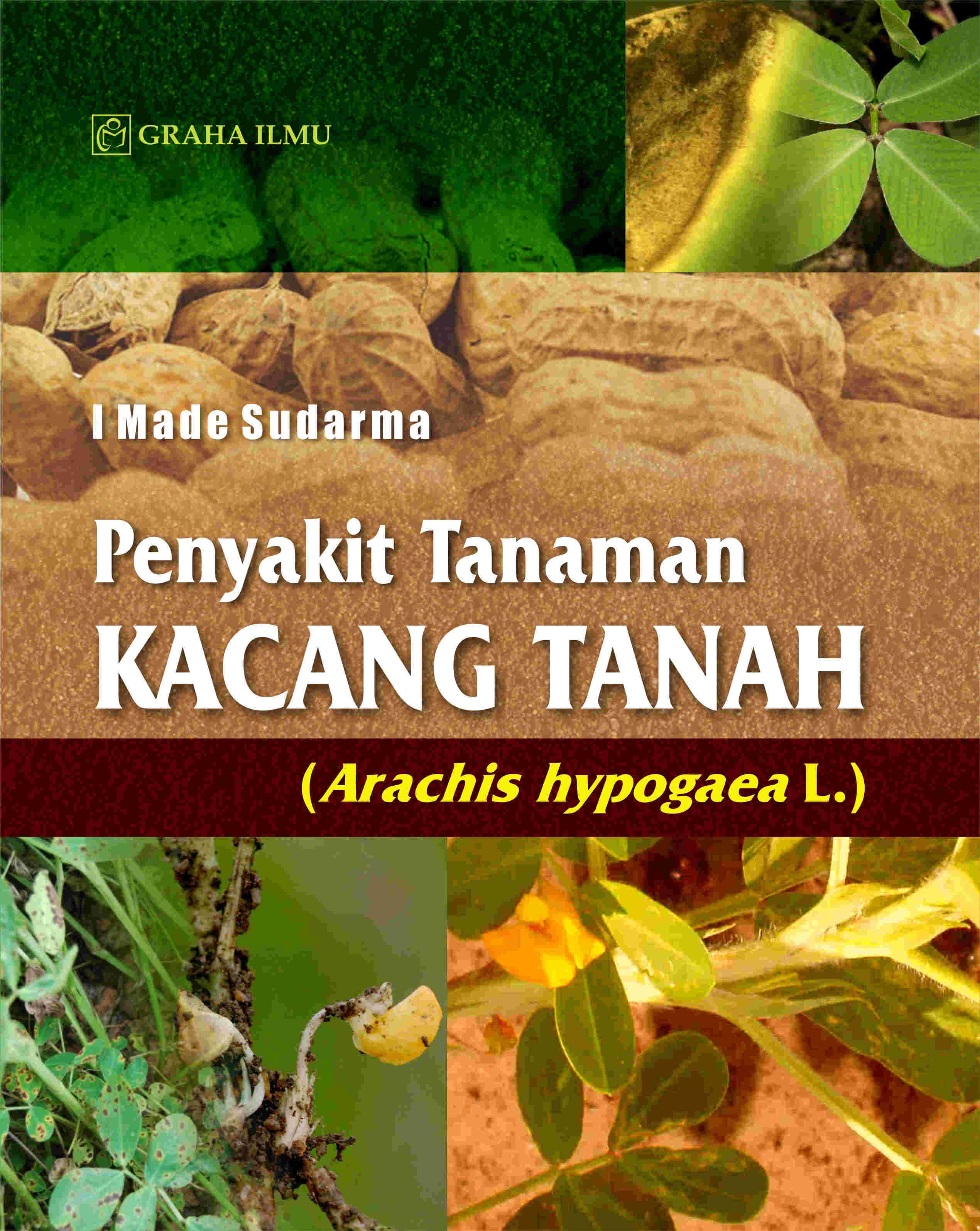 Sampul buku Penyakit Tanaman Kac...